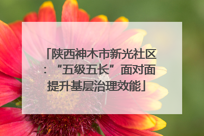 陕西神木市新光社区：“五级五长”面对面 提升基层治理效能